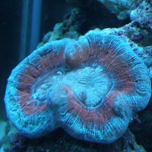 who knew... white balance makes a difference