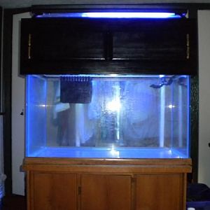 58 Gallon
