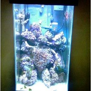 TN 01CACC93B3A9F8003A4D8ADD28040C3F0