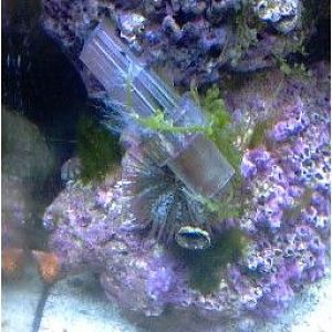 TN 01CACC9436CB4E003A85E8E128040C430