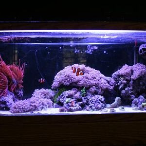 After a little aquascaping