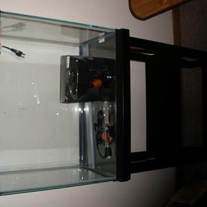 25 gallon- sideways of course