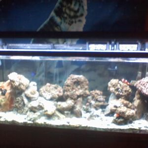 the 55 before the move to the 75