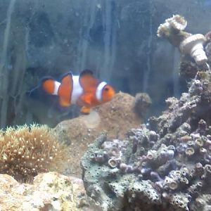 look they are opening a little bit more here