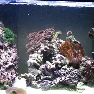 right side of tank