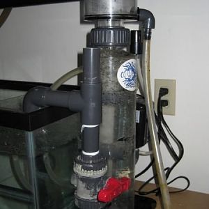 reef octopus skimmer