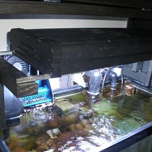 with light installed