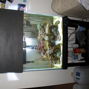 sideways, but none the less a canopy