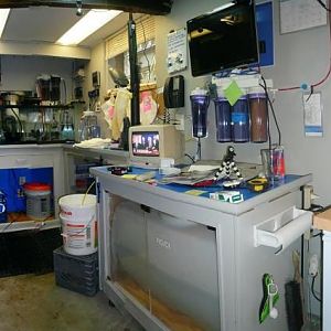 I'll cleanhouse B4 next pic