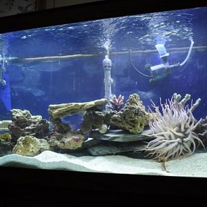 Full view updated tank phase 3