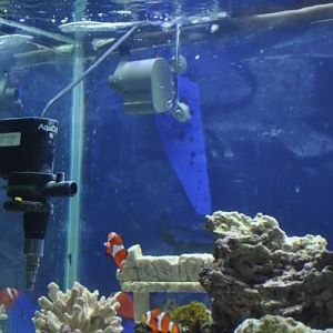 1st powerhead & skimmer pump