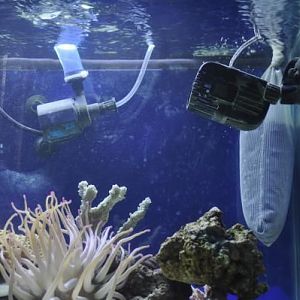 2nd powerhead & 2nd skimmer pump plus bag carbon