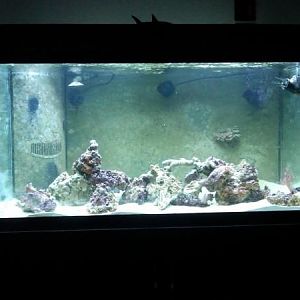 Tank finally wet!  Need to aquascape next