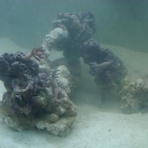 Right side of rockwork