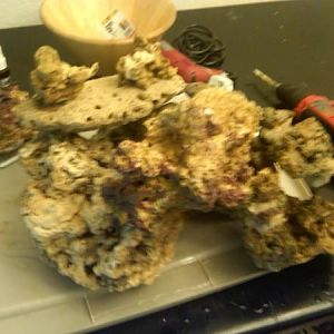 IMG00069 20100715 1458