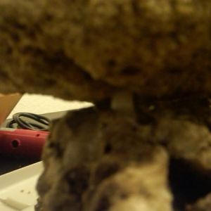 IMG00070 20100715 1458