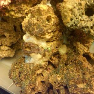 IMG00071 20100715 1459