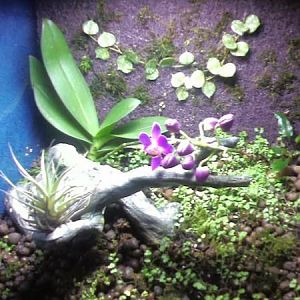 38702 690313220171 56014314 39174154 4804155 n