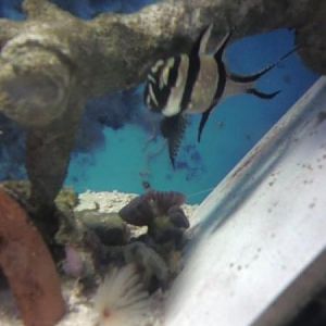 39017 691263495811 56014314 39206586 1759296 n