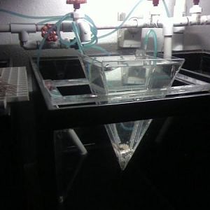 39992 691570720131 56014314 39222076 7525622 n