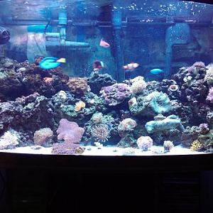 This hobby is addictin