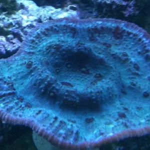 58567 1530991268090 1033996249 1740651 4869037 n