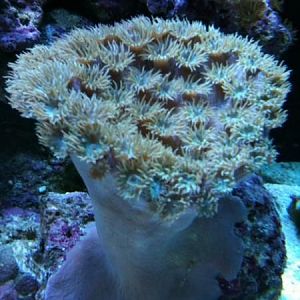 61147 1543842149354 1033996249 1771912 6036227 n