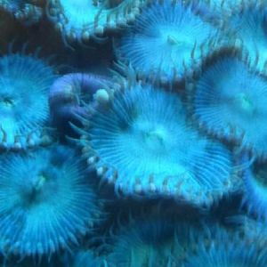 47806 1530991828104 1033996249 1740652 2950539 n