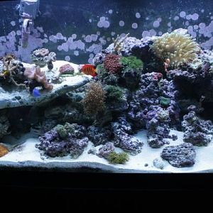 full tank with new Tek5 fixture