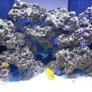 Front shot with fish