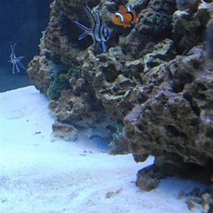 Tank shot from left to right