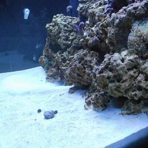 Another tank shot from left to right