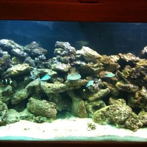 more pics after big loose from move to MN.... very sad!!! was totally full prior to move...