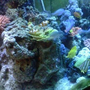 IMG00048 20100624 2208