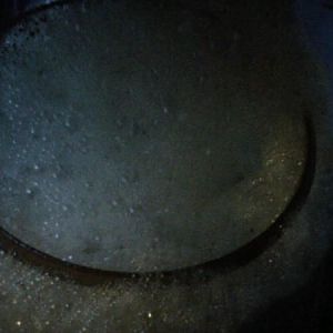 IMG00091 20100624 2234