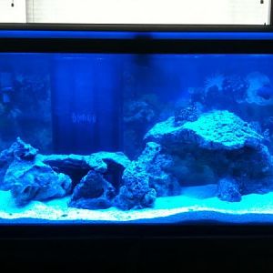 2nd day around 20th August.