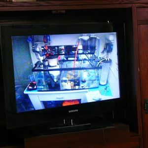 You know yur bored when there's nothing to watch on TV....except the sump