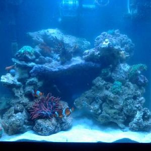 4/28/11  after moving