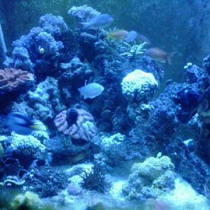 IMG00052 20100624 2209