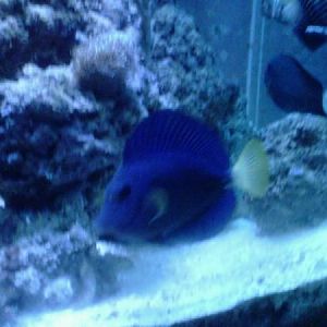 IMG00078 20100624 2220