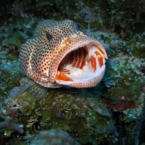 185889 1876713483261 1403956047 2152829 7820763 n