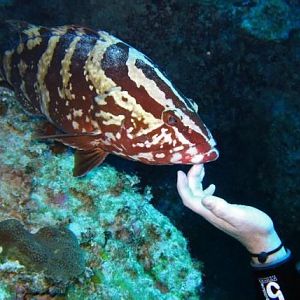 180930 1876714163278 1403956047 2152832 8299191 n