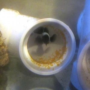 2nd clutch 8/16/2011