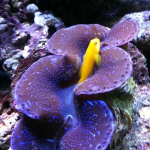 What a relationship, seriously months!!