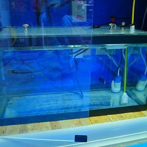 Replaces a 5g bucket. I think it looks better?