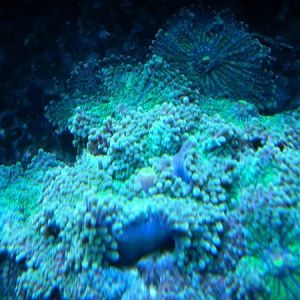 298545 589304468901 194000899 32175601 1868567277 n