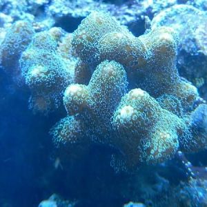 299005 589304239361 194000899 32175588 1408418023 n