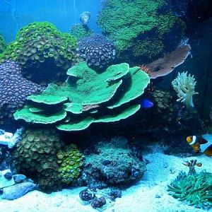 299098 589304558721 194000899 32175607 1388981322 n