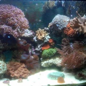 IMG00053 20111018 1858