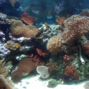 IMG00056 20111018 1900